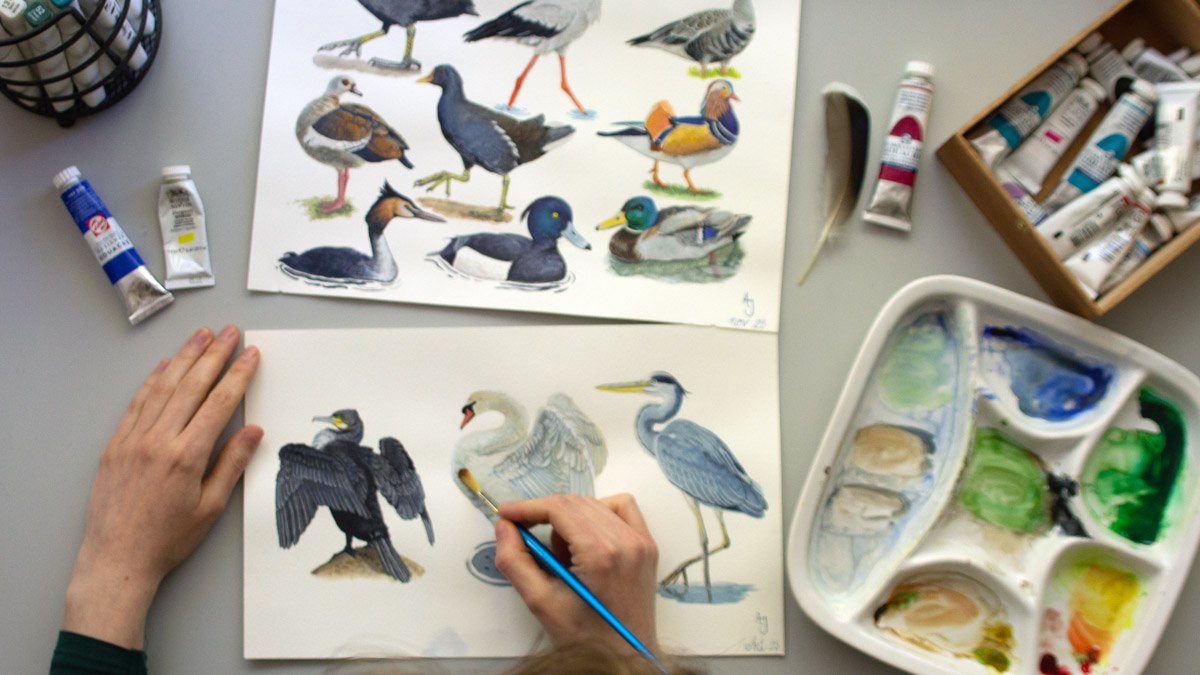 anne-jasker-workshop-vogels-b-1200x675-b